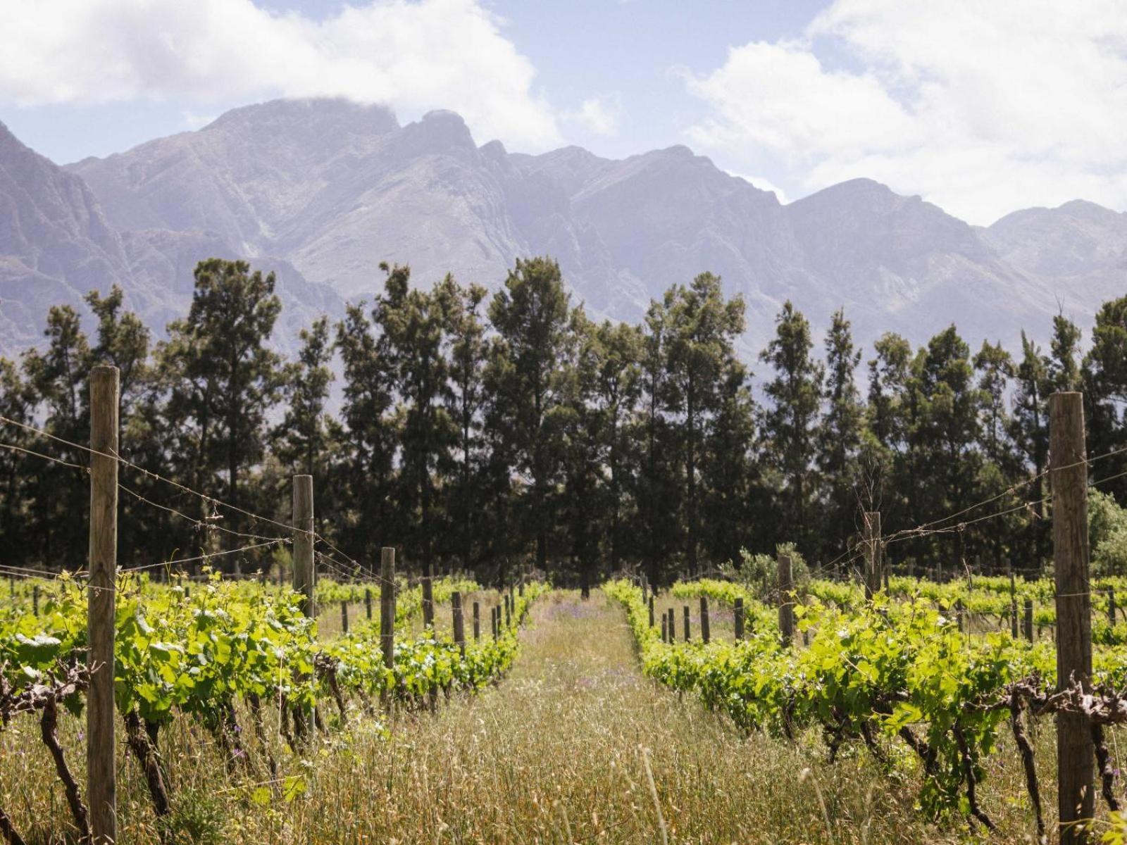 Duikersdrift Winelands Country Escape Hotel Tulbagh