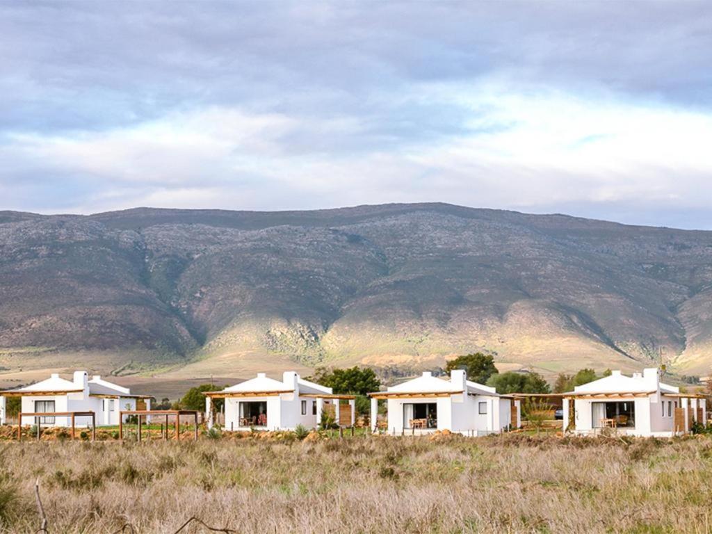 Duikersdrift Winelands Country Escape 3*