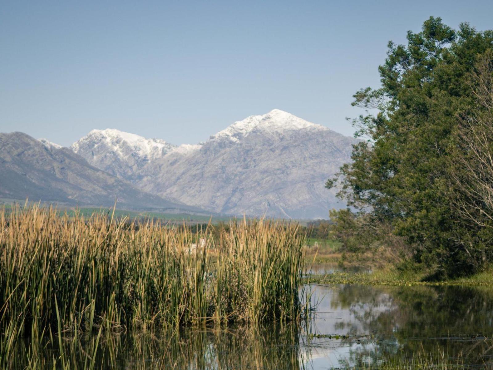 Hotel Duikersdrift Winelands Country Escape
